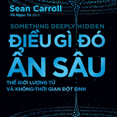 ĐIỀU GÌ ĐÓ ẨN SÂU - Thế Giới Lượng Tử Và Không-Thời Gian Đột Sinh - Sean Carroll (bìa mềm)