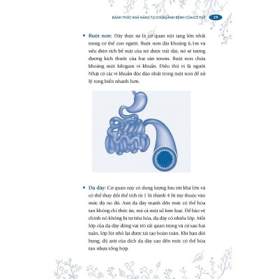 Sách - Đánh Thức Khả Năng Tự Chữ Lành Bệnh Của Cơ Thể ( bc)