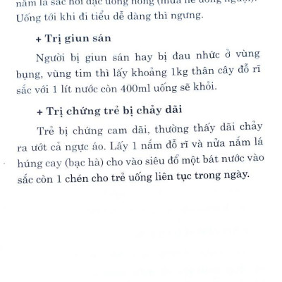 500 Bài Thuốc Hay Chữa Bệnh Theo Kinh Nghiệm Dân Gian (Tái Bản 2023)