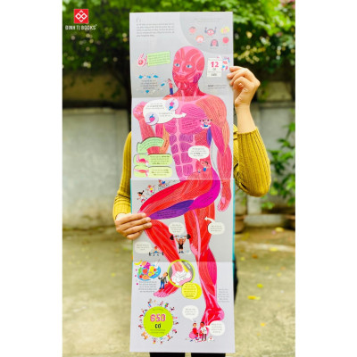 Sách - Big Book Of The Body - Cuốn Sách Khổng Lồ Về Cơ Thể Người - Đinh Tị Books