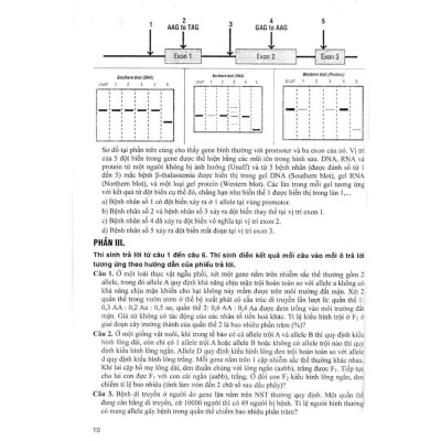 Sách - Bộ Đề Sinh Học - Đầy Đủ Các Dạng Trắc Nghiệm Theo Cấu Trúc Đề Thi Năm 2025 - Theo Chương Trình GDPT Mới - Hồng Ân