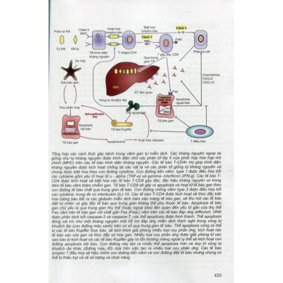 Sách - Giải phẫu bệnh học 2022