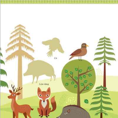 Sách - Montessori A World of Achievements - Cuốn Sách Đầu Tiên Của Tớ (3 - 4 Tuổi) - ndbooks