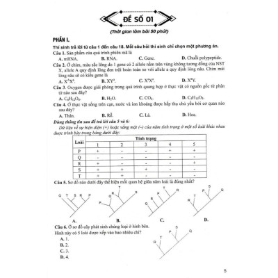 Sách - Bộ Đề Sinh Học - Đầy Đủ Các Dạng Trắc Nghiệm Theo Cấu Trúc Đề Thi Năm 2025 - Theo Chương Trình GDPT Mới - Hồng Ân