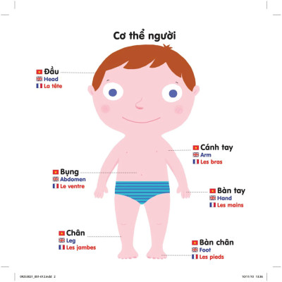 Sách Chuyển Động Thông Minh Đa Ngữ Việt - Anh - Pháp: Cơ Thể Người - The Body - Le Corps