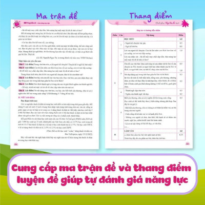 Sách Chinh Phục Ngữ Văn - Kỹ Năng Đọc Hiểu Và Viết Theo Các Thể Loại Lớp 6 Tập 2 - Megabook