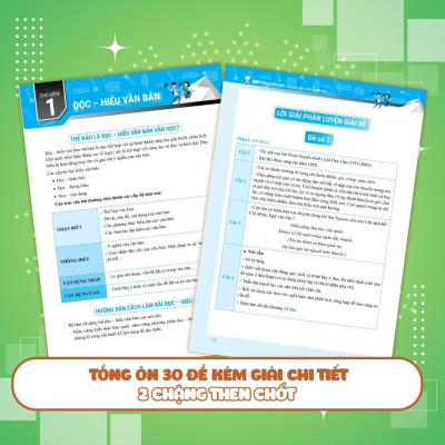 Sách - Chinh Phục Đề Thi Vào 10 Môn Văn - Megabook