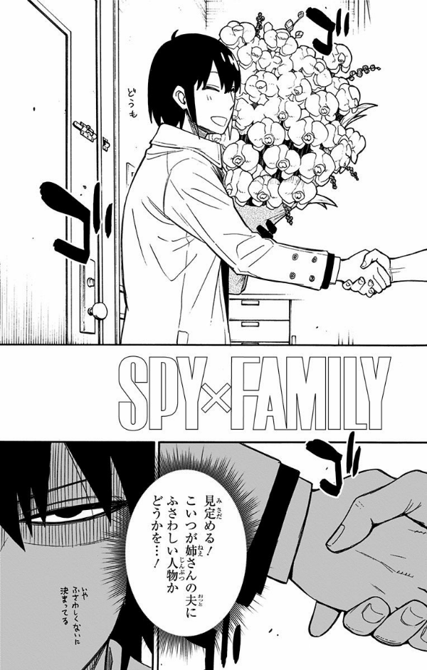 SPY x FAMILY 3 (ジャンプコミックス)