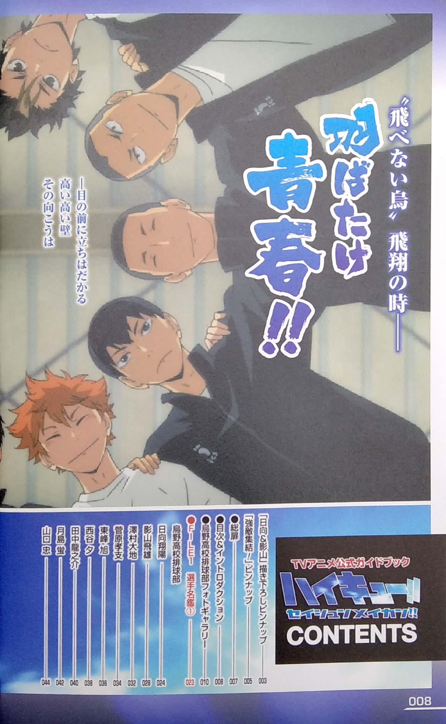 TVアニメ公式ガイドブック ハイキュー!! セイシュンメイカン!! - TV Anime Official Guidebook Haikyu !!