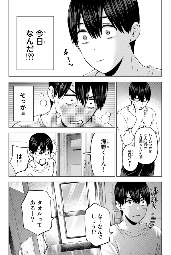 A Couple Of Cuckoos 17 (Japanese Edition)