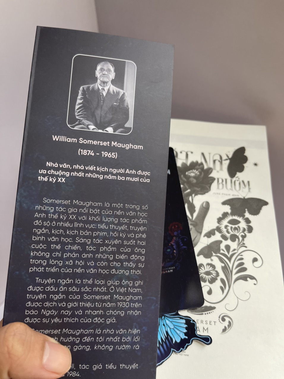 MẶT NẠ BƯƠM BƯỚM - W. Somerset Maugham - June Phạm dịch – Linh Lan - NXB Phụ Nữ