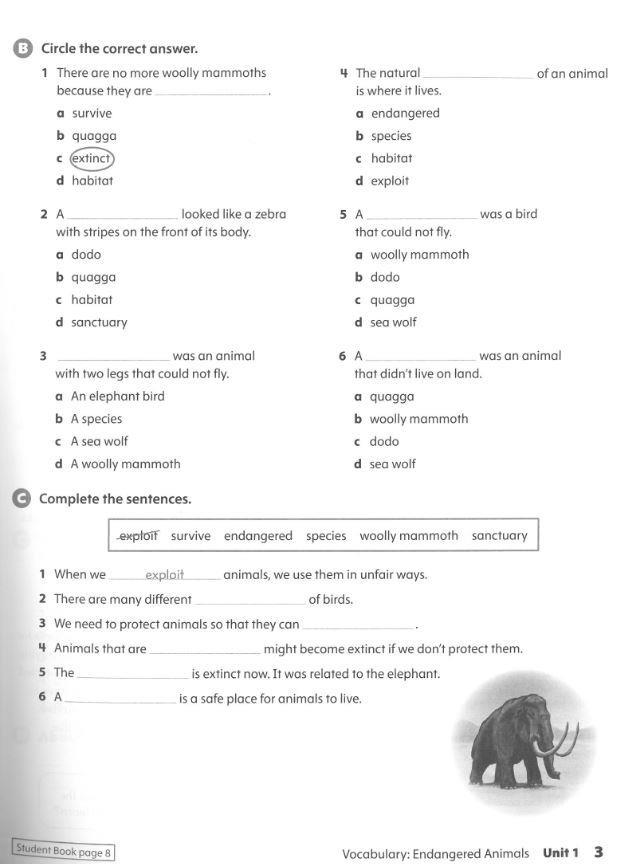 Oxford Discover 2nd Edition: Level 5: Workbook With Online Practice