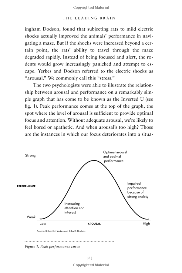 The Leading Brain