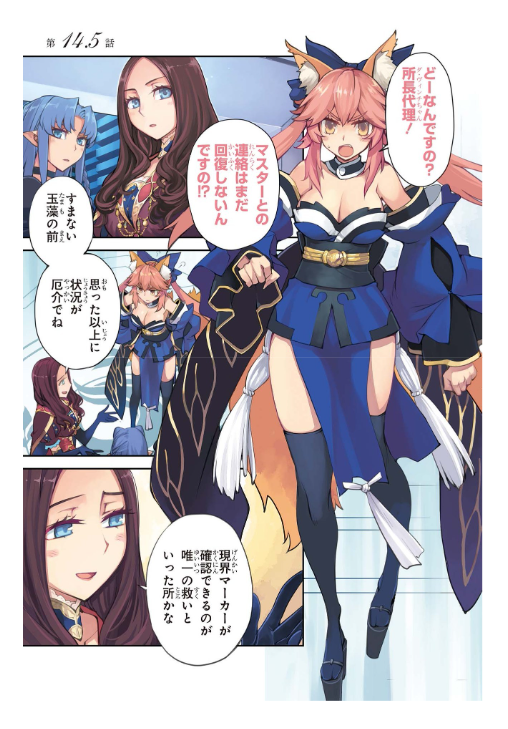 FATE/GRAND ORDER - Epic of Remnant - 亜種特異点IV 禁忌降臨庭園 セイレム 異端なるセイレム