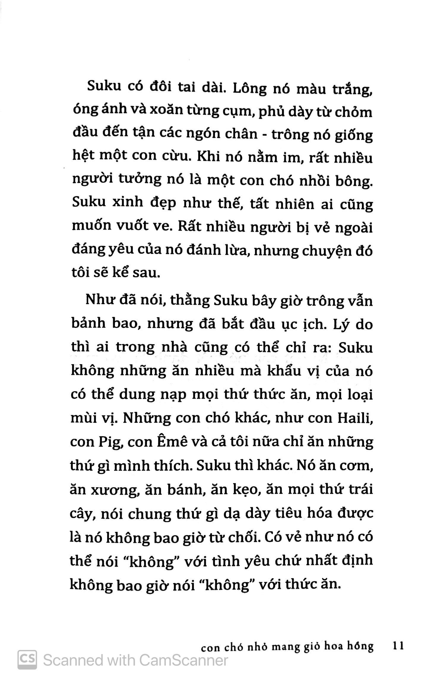Con Chó Nhỏ Mang Giỏ Hoa Hồng (Tái Bản)
