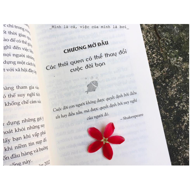 Sách - Combo: Mặc Kệ Thiên Hạ, Sống Như Người Nhật & Mình Là Cá, Việc Của Mình Là Bơi (tặng kèm bookmark)