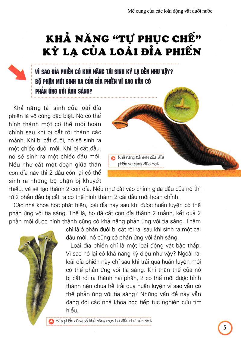 Khám Phá Những Bí Ẩn Về Động Vật (Tái Bản)