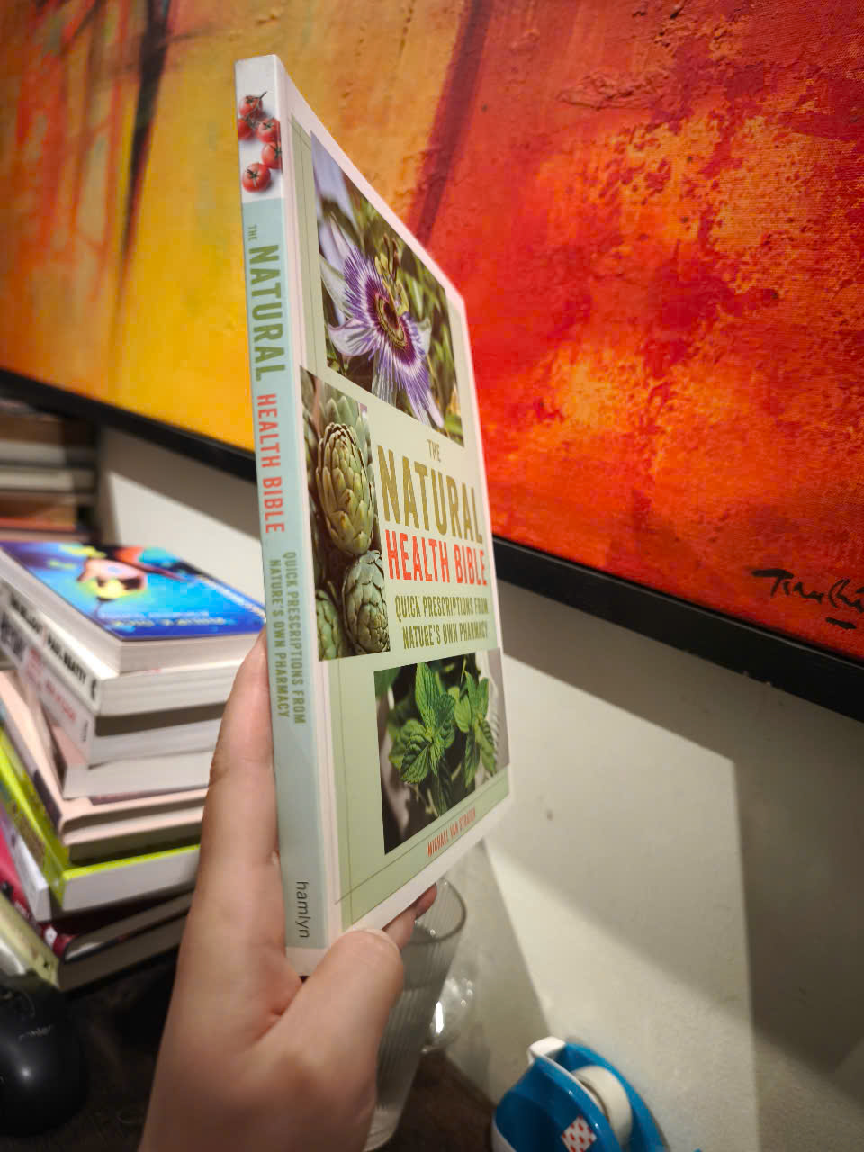 Sách - The Natural Health Bible: Quick Prescriptions From Nature