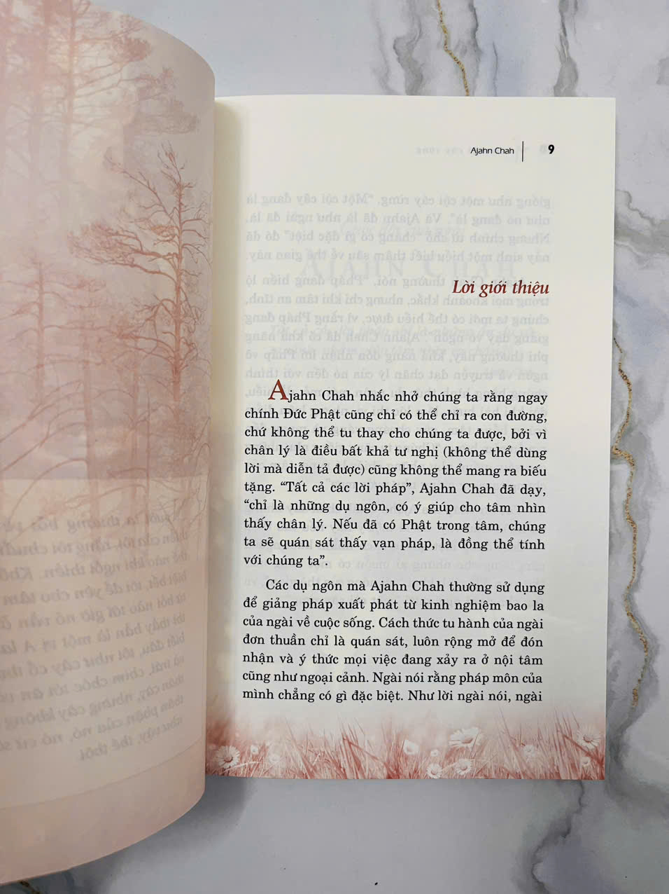 Một Cội Cây Rừng