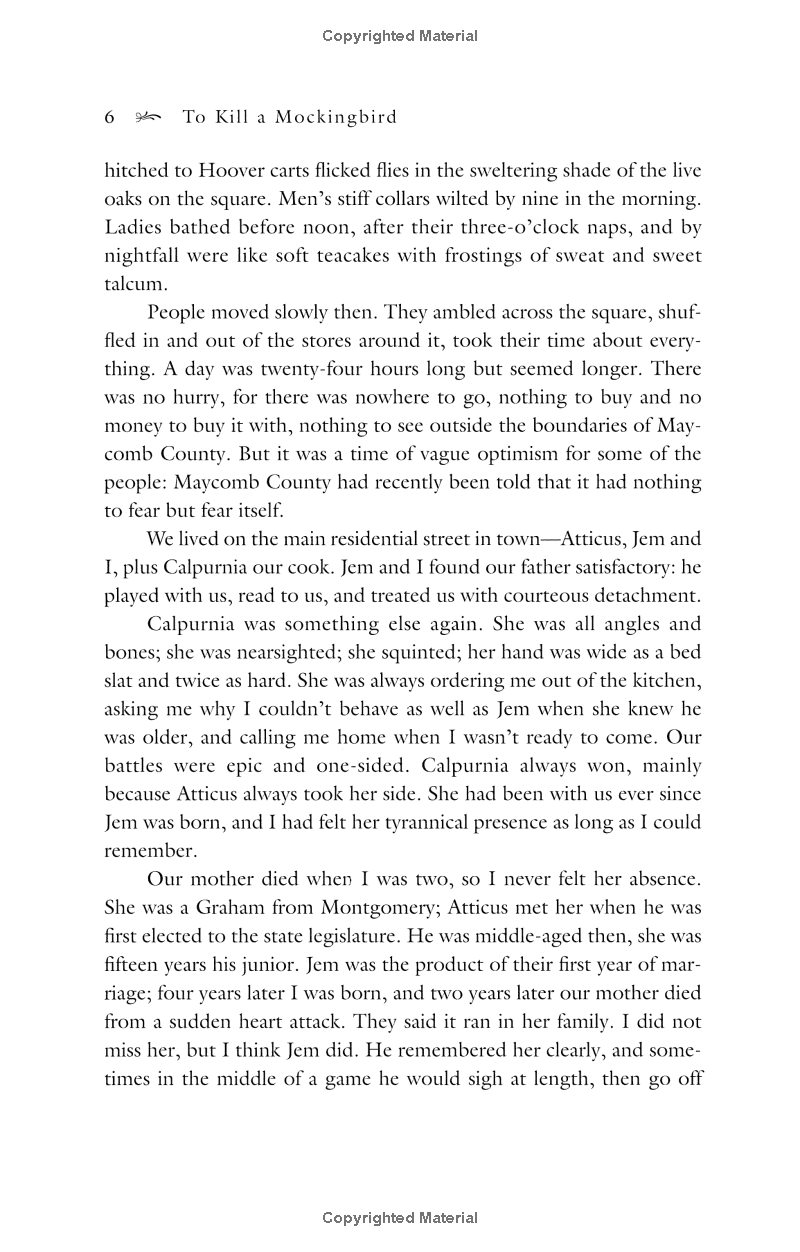 To Kill A Mockingbird (Reprint, 2007) - Giết Con Chim Nhại