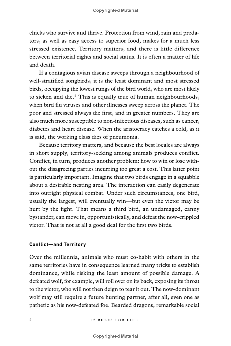 12 Rules For Life: An Antidote To Chaos