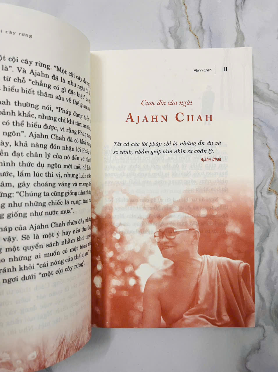 Một Cội Cây Rừng