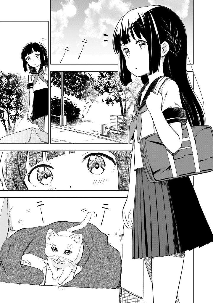 Seishun Buta Yaro Wa Yumemiru Shojo No Yume Wo Minai 1 (Japanese Edition)