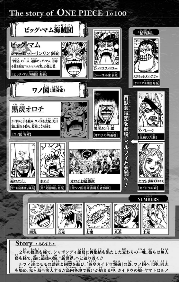 One Piece 100