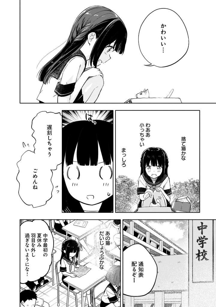 Seishun Buta Yaro Wa Yumemiru Shojo No Yume Wo Minai 1 (Japanese Edition)