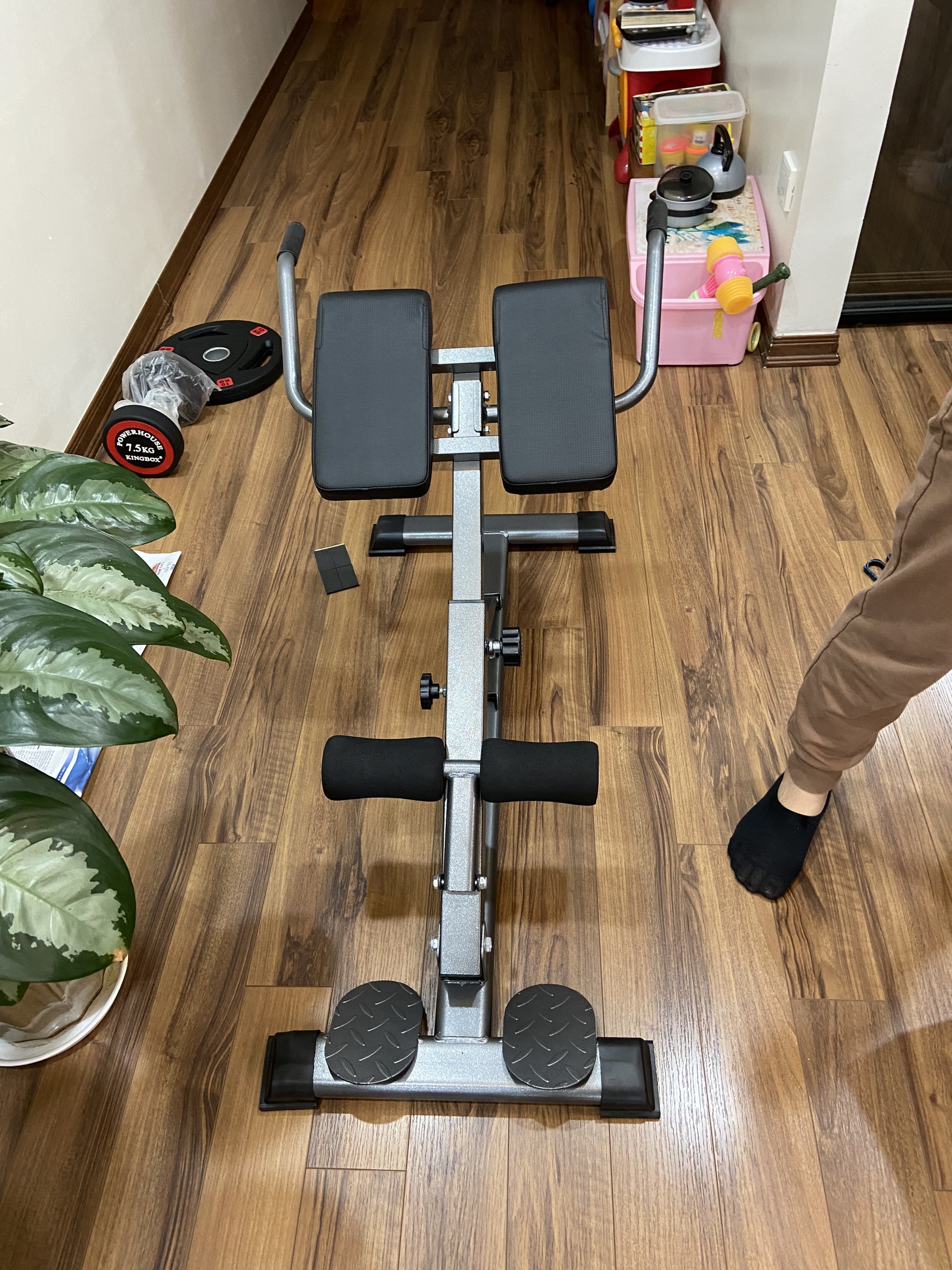 Ghế tập lưng bụng M-001