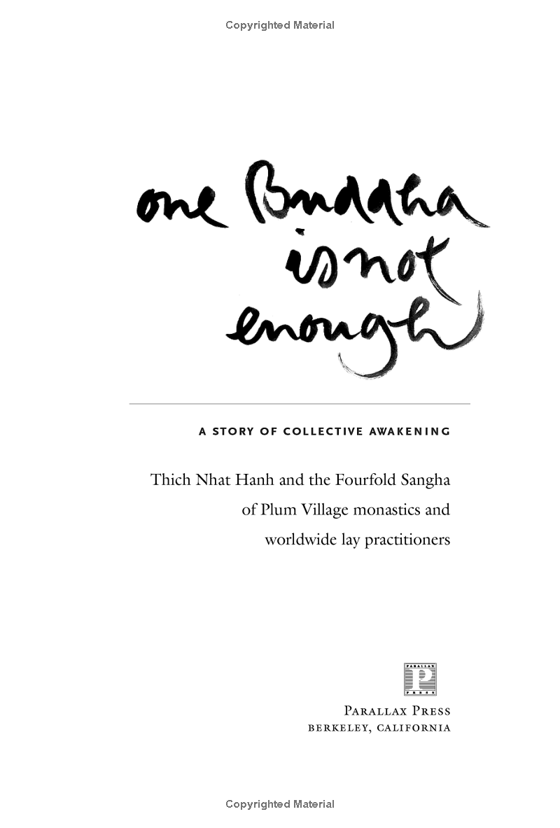 One Buddha Is Not Enough: A Story Of Collective Awakening