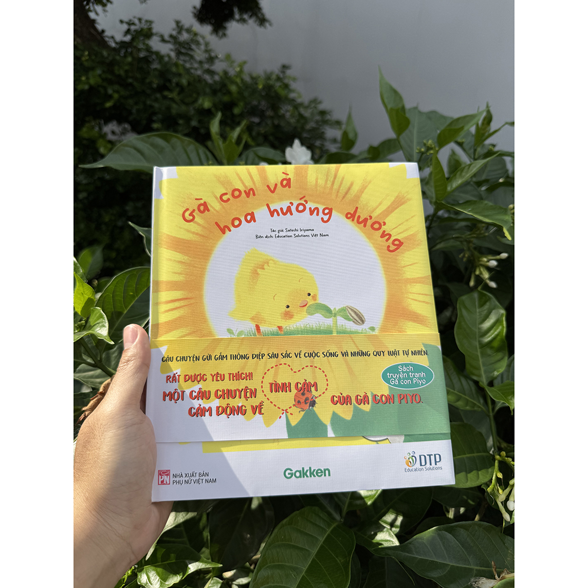 Gà con và hoa hướng dương