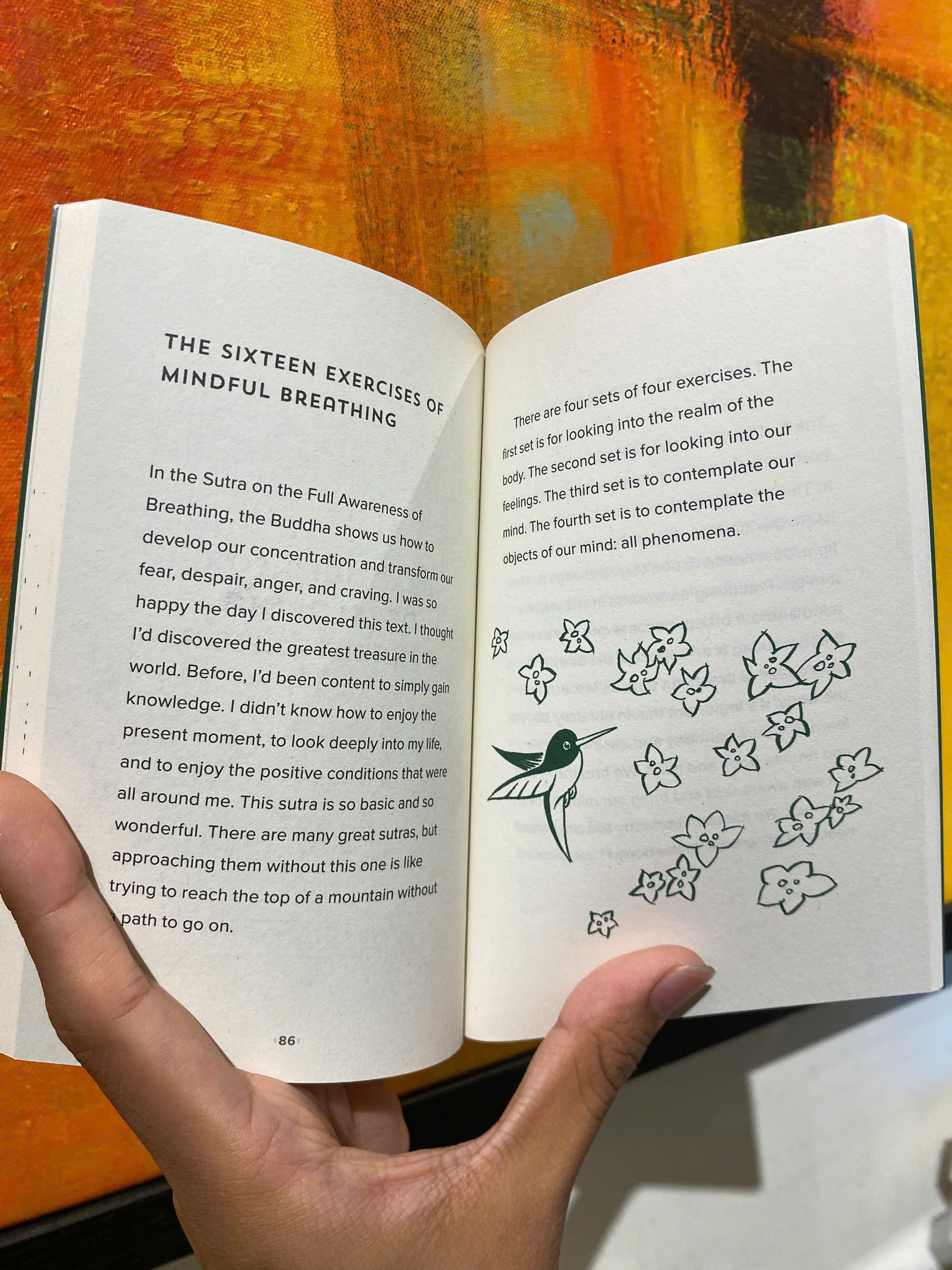 Sách - How to Focus (Mindfulness Essentials) by Thich Nhat Hanh - Triết Học, Tôn Giáo tiếng Anh - Philosophy, Religion / Sách Ngoại văn Nhập khẩu