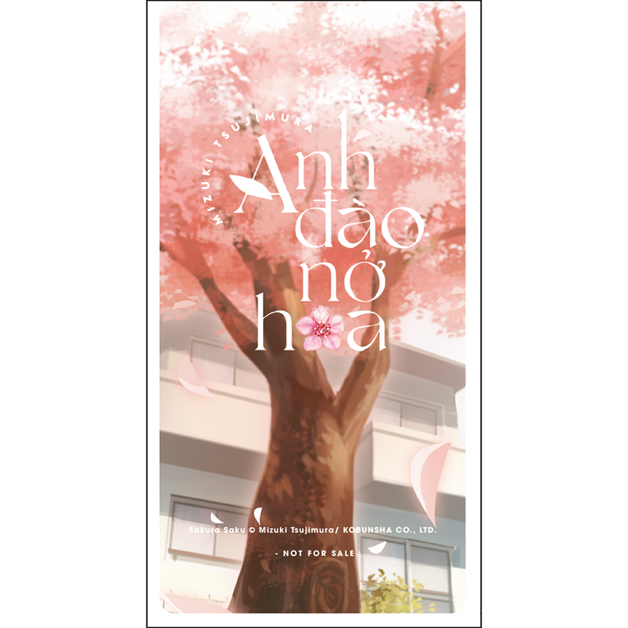 Anh đào nở hoa _AZ