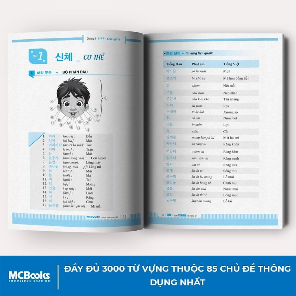Sách - 3000 Từ Vựng Tiếng Hàn Theo Chủ Đề MCBooks