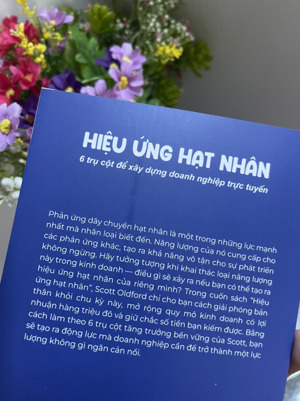 HIỆU ỨNG HẠT NHÂN -6 Trụ cột để xây dựng doanh nghiệp trực tuyến- Scott Oldford – Lê Trúc Anh dịch -Bizbooks -NXB Hồng Đức