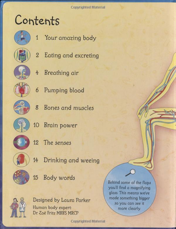 Sách tương tác tiếng Anh - Usborne See Inside Your Body