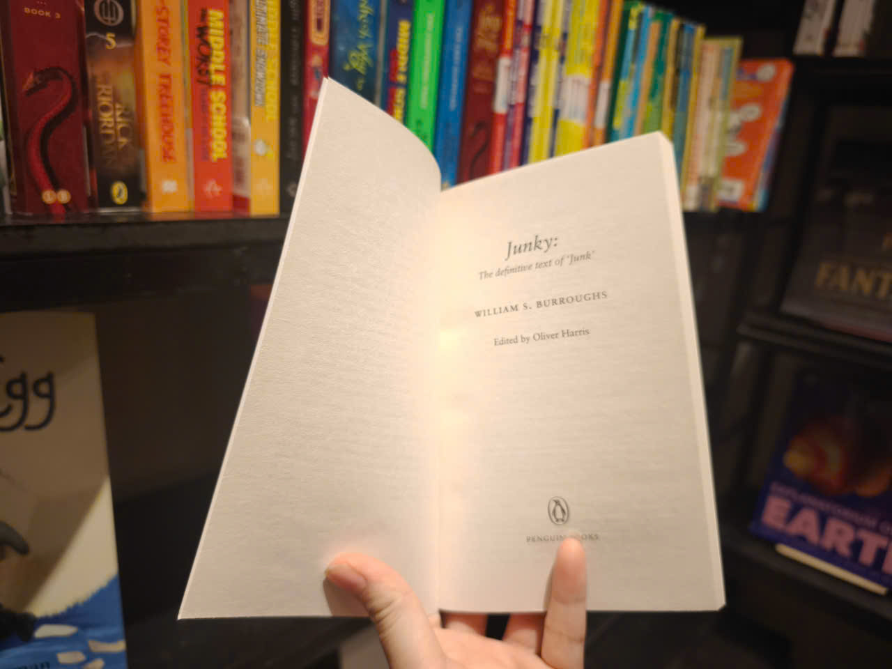 Sách - Junky by William S. Burroughs - Sách tiếng anh, tiểu thuyết/Fiction/Novel in English