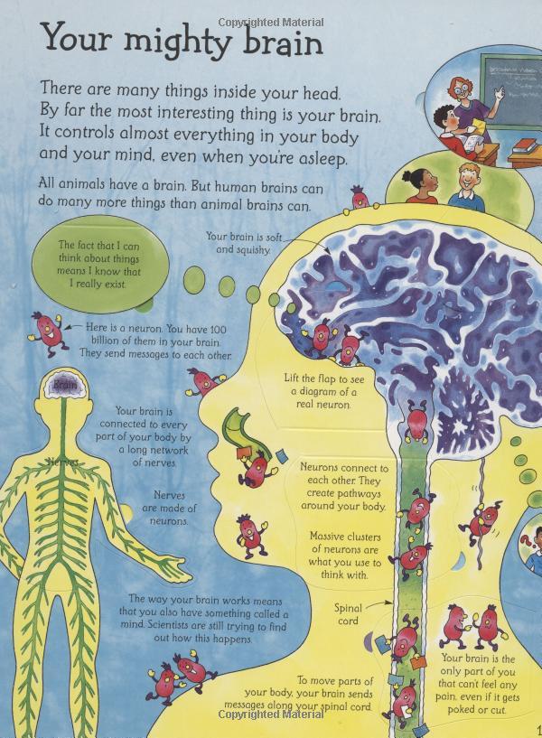 Usborne See Inside Your Head