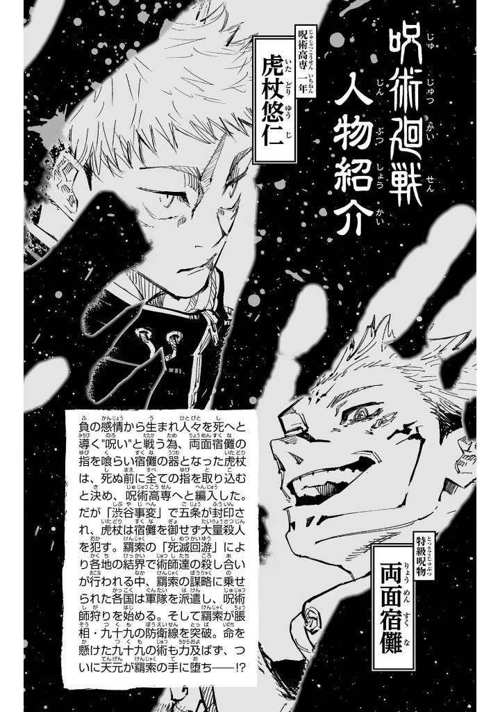 Jujutsu Kaisen 24 (Japanese Edition)