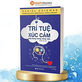 Trí Tuệ Xúc Cảm Ứng Dụng Trong Công Việc (Tái Bản 2018)