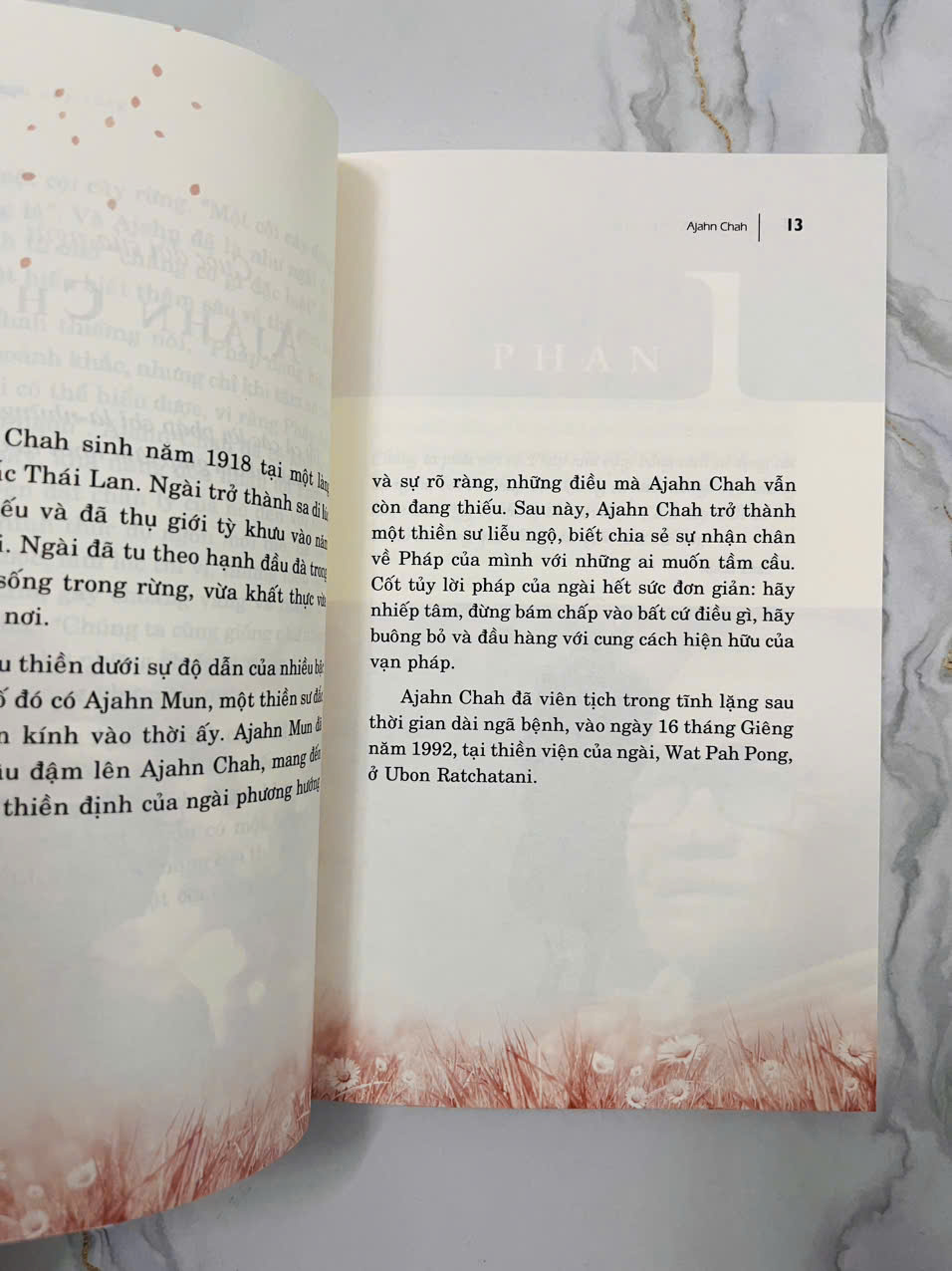 Một Cội Cây Rừng