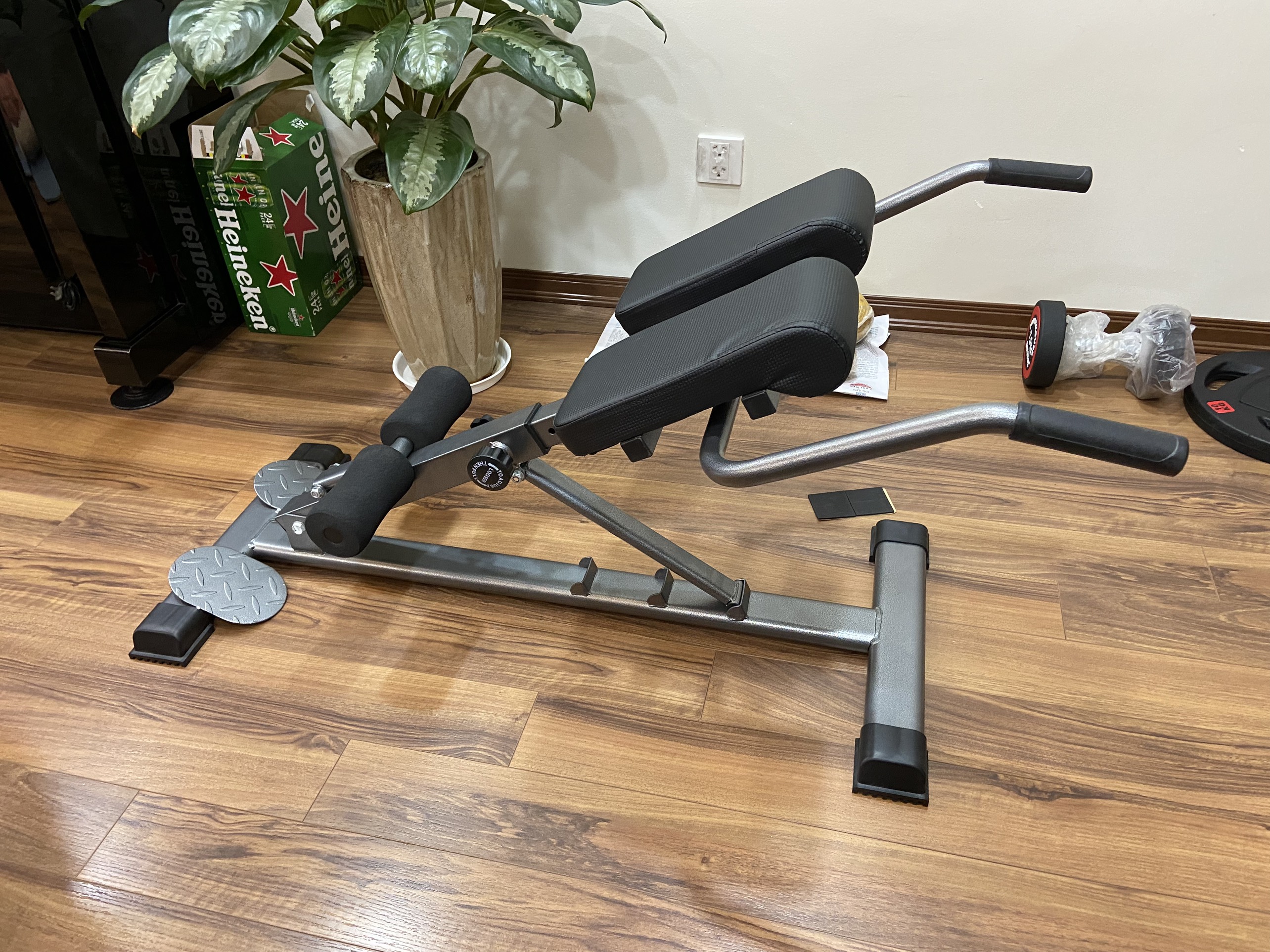 Ghế tập lưng bụng M-001
