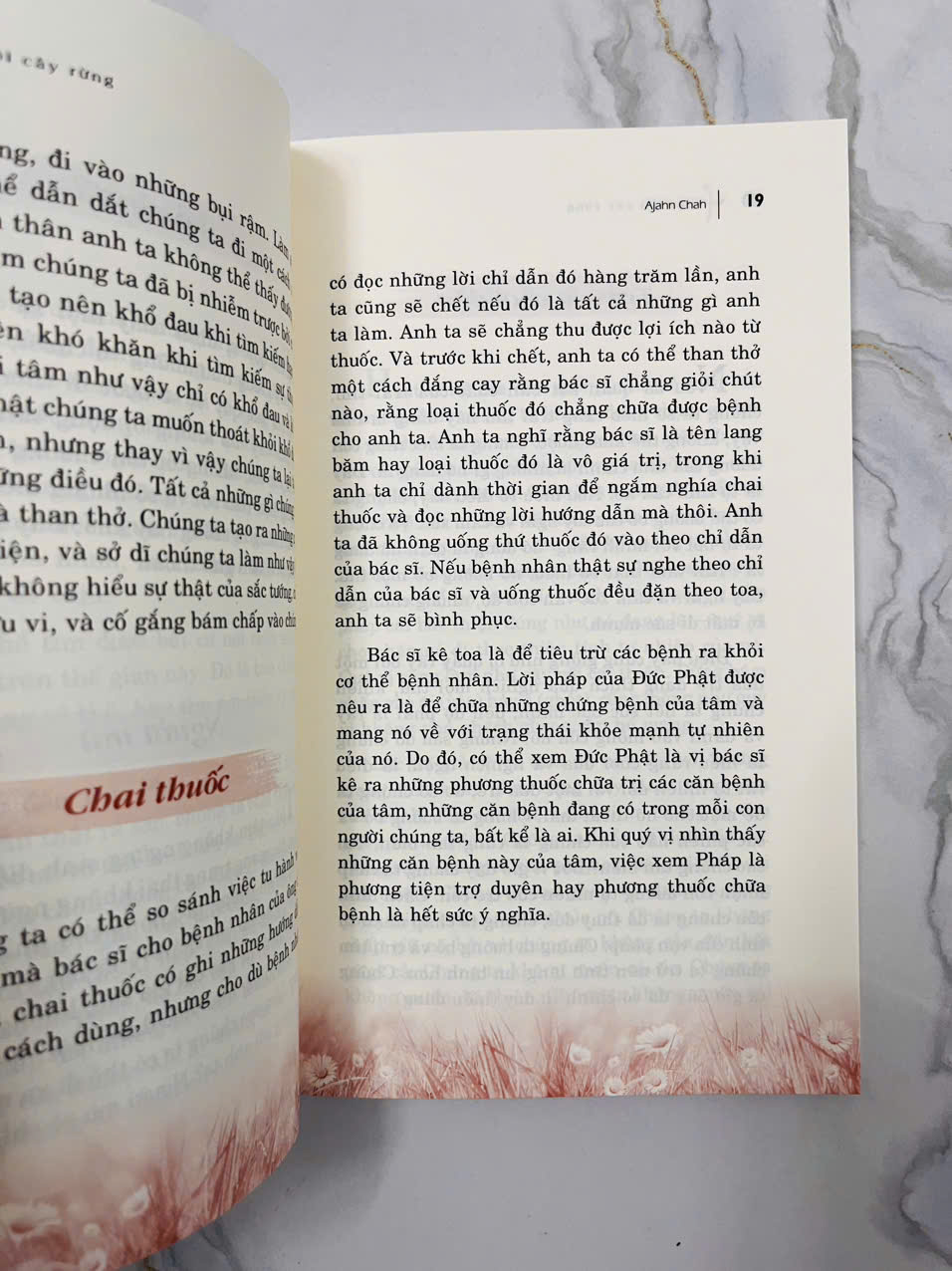 Một Cội Cây Rừng