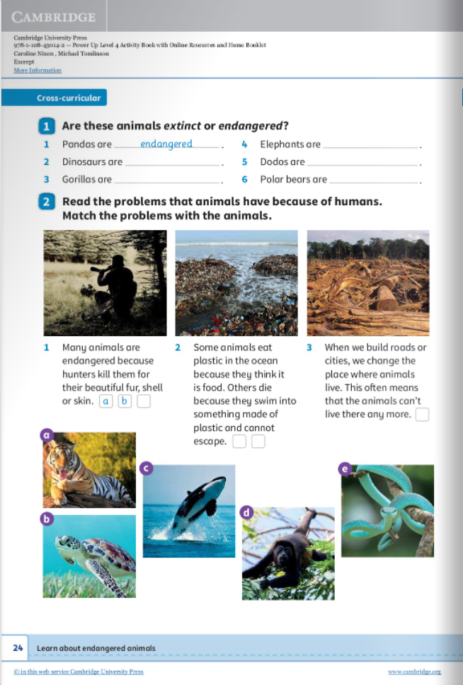 Power Up Level 4 Activity Book With Online Resources And Home Booklet