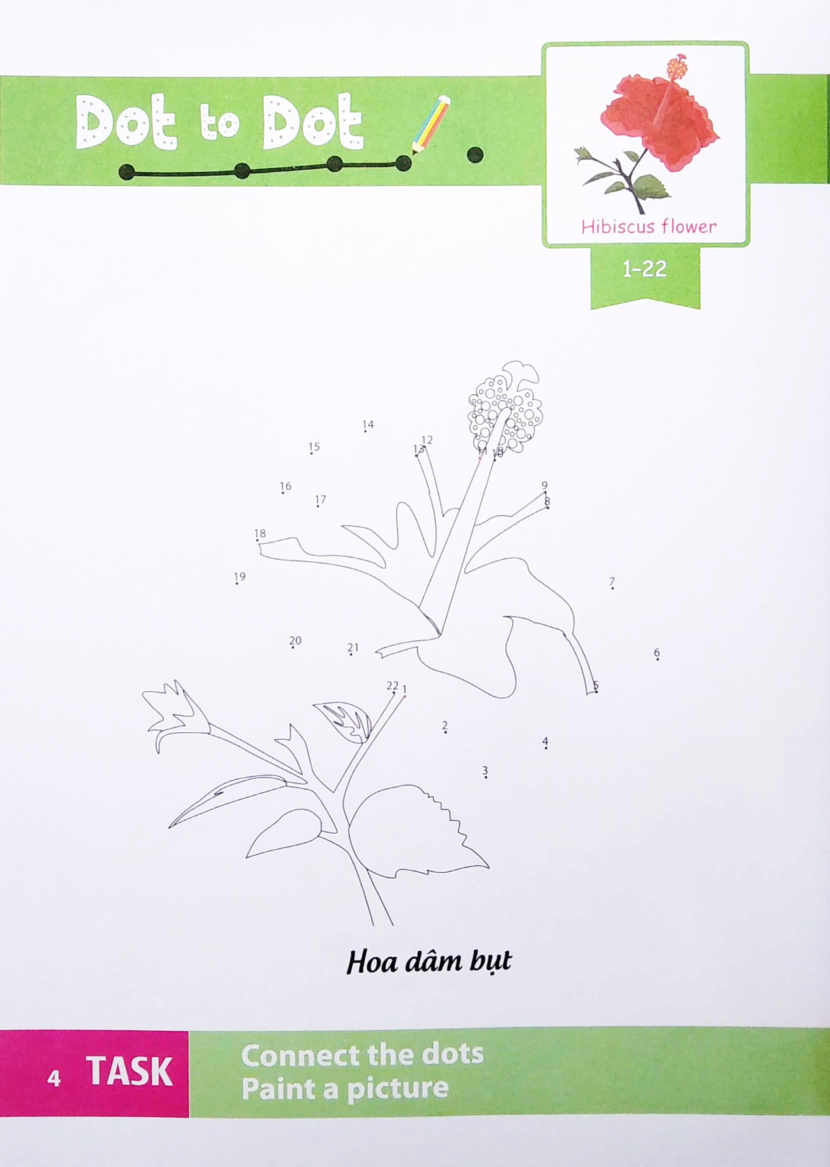 Dot To Dot Coloring Book - Nối Số & Tô Màu - Các Loài Hoa