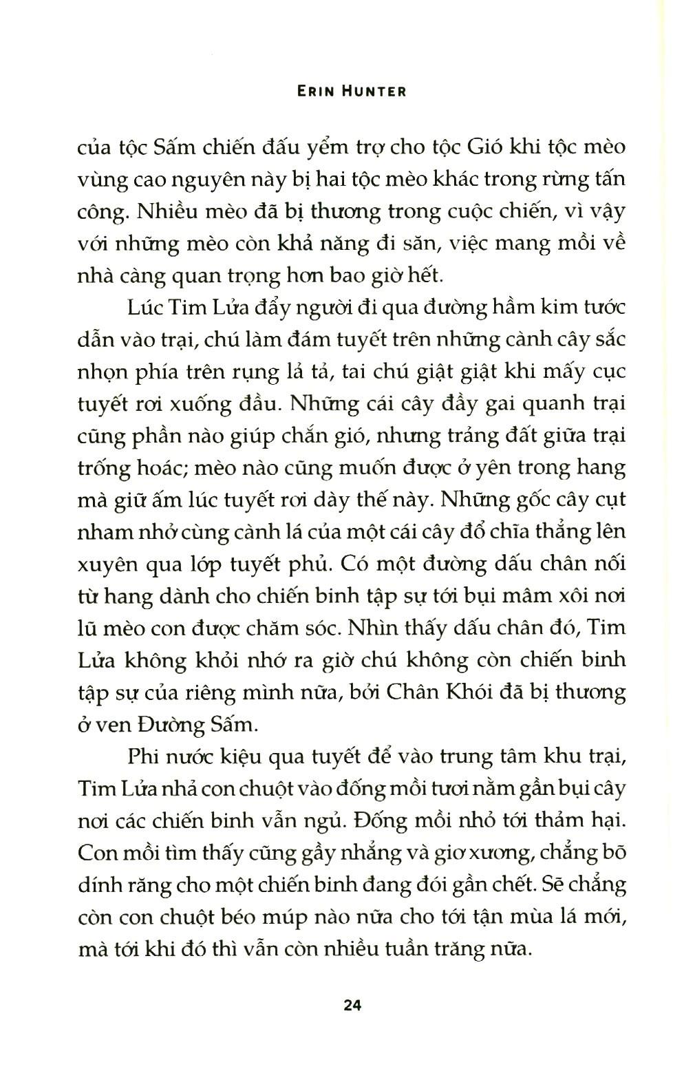 Mèo Chiến Binh - Bí Mật Rừng Sâu