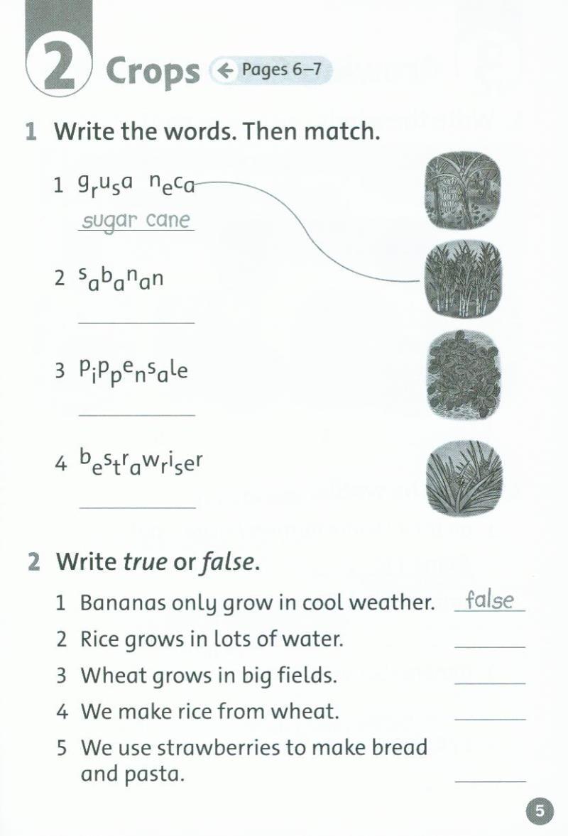 Oxford Read and Discover 2: Farms Activity Book