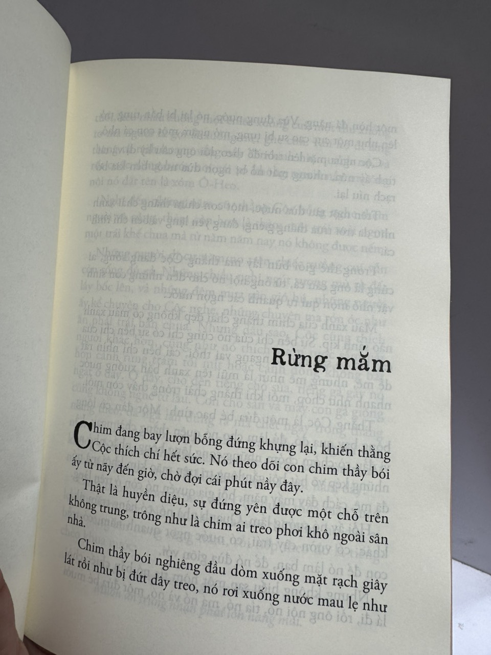 RỪNG MẮM - Bình Nguyên Lộc - Nxb Trẻ