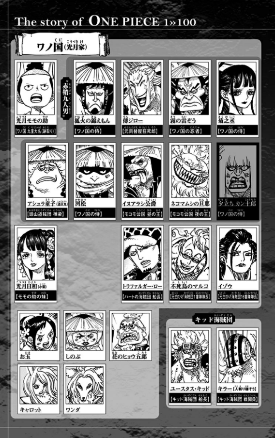 One Piece 100
